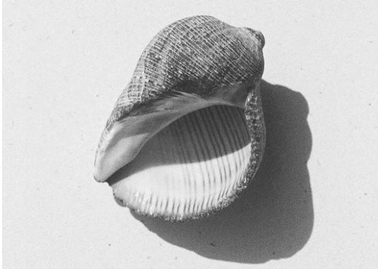 5 common myths about sustainable fashion