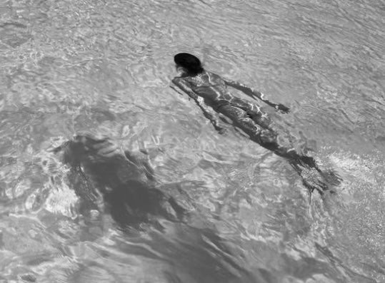 My motivation for creating Phyll